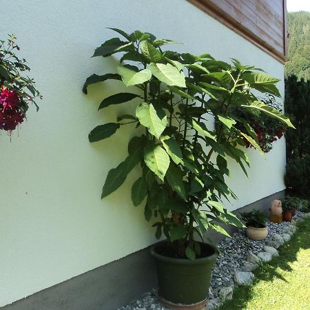 Gondelblick Apartment Wagrain Luaran gambar