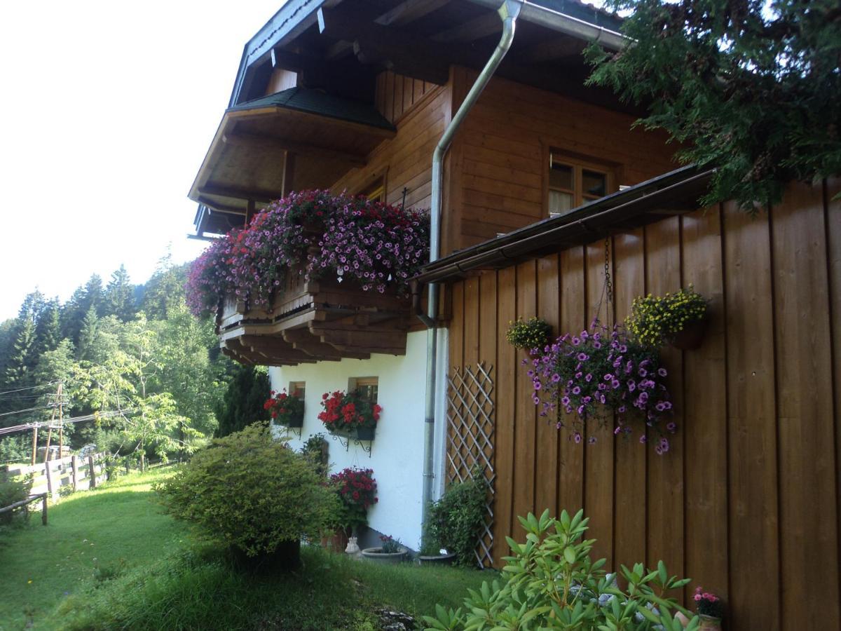 Gondelblick Apartment Wagrain Luaran gambar